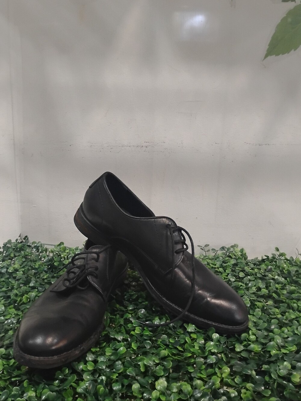 Dress Shoes Lace Up
